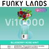 ELFBAR Funky Lands Vi10000 engangs vape blåbær rose mynte - Kjøpe Elf Bar 4D80391